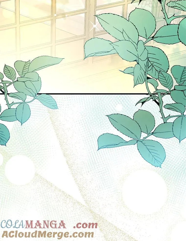 104.最合适的人选40