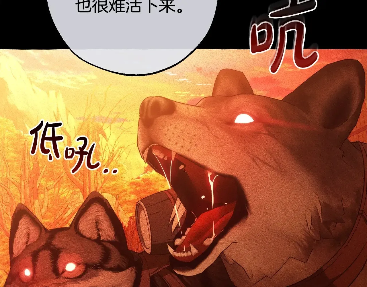 第三季完结篇 狼火116