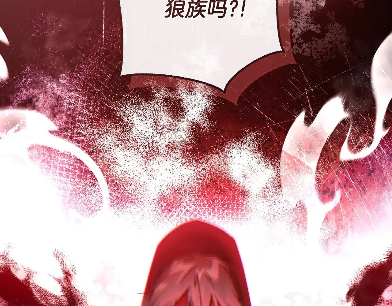 第三季完结篇 狼火30