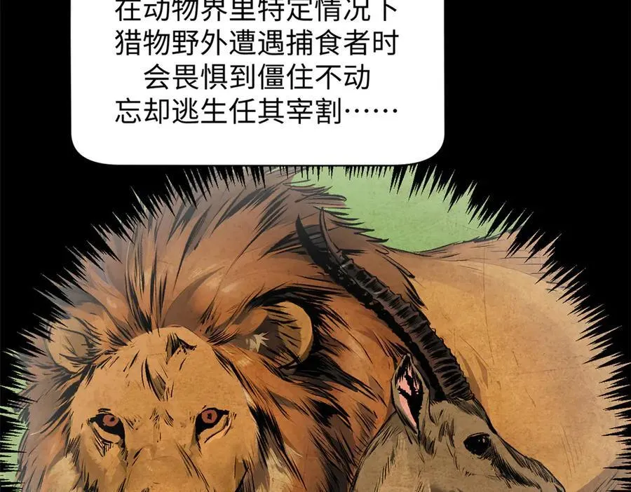 178 天下第一的挑战78