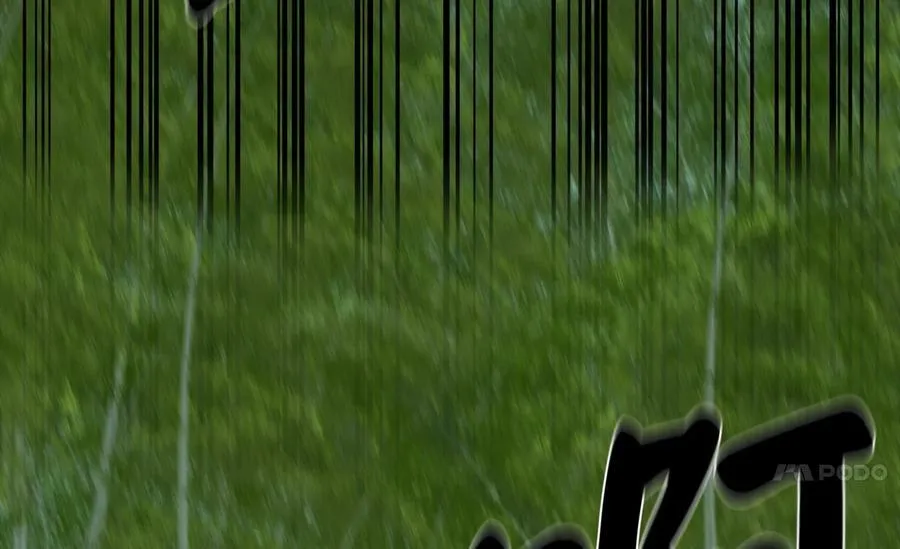 254.先天真气14