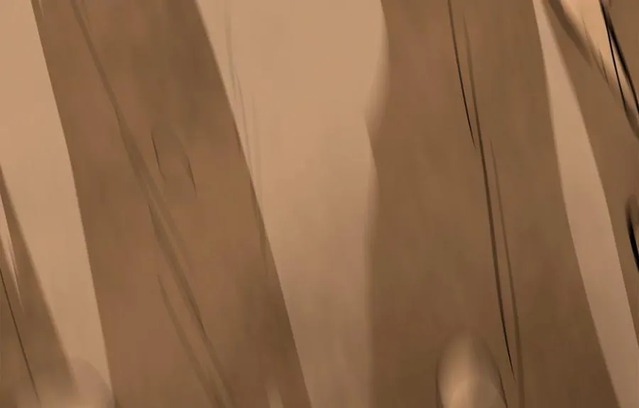 246.僧人援兵214