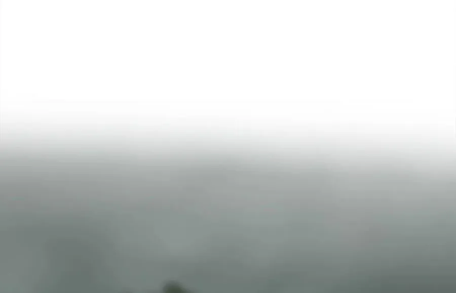 253.艰难抉择211