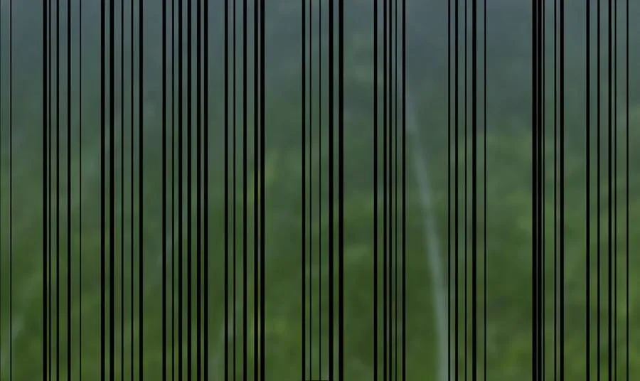 253.艰难抉择27