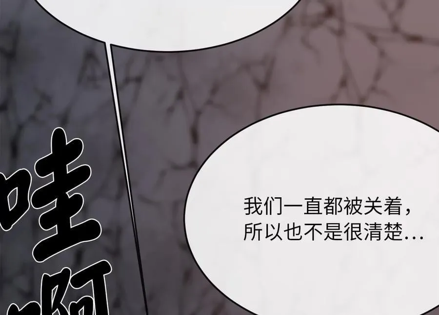 258.荡平白马114