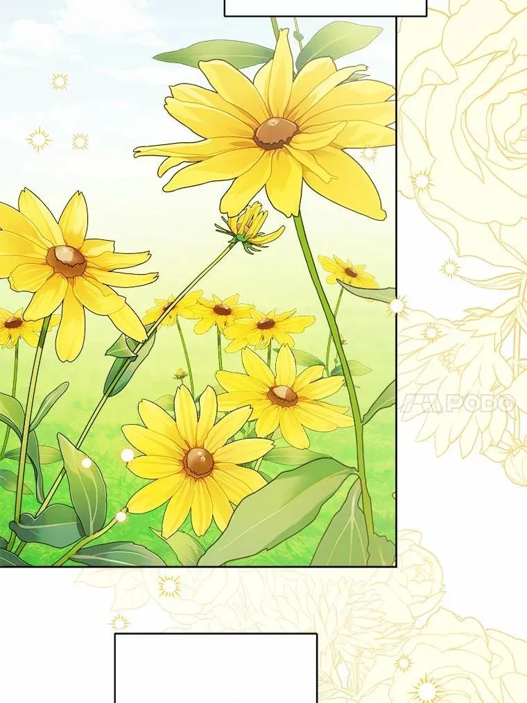 45.我怀念的夏天85