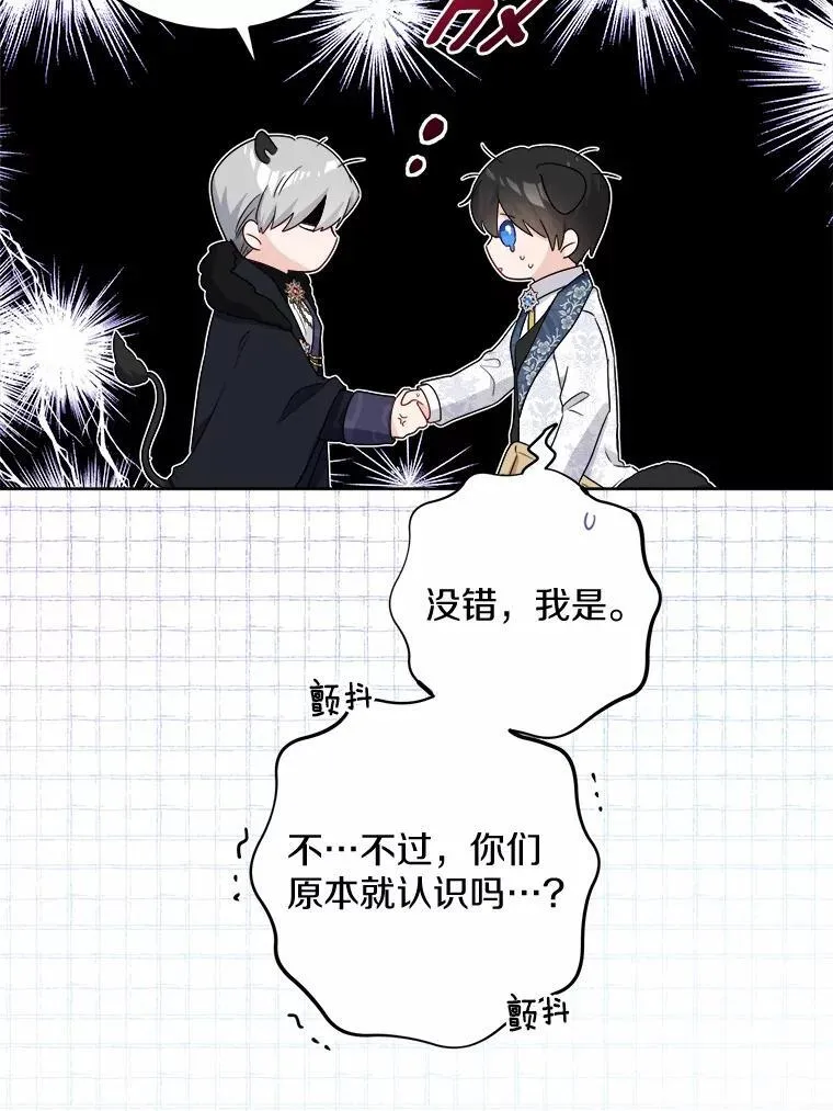 40.神秘人13