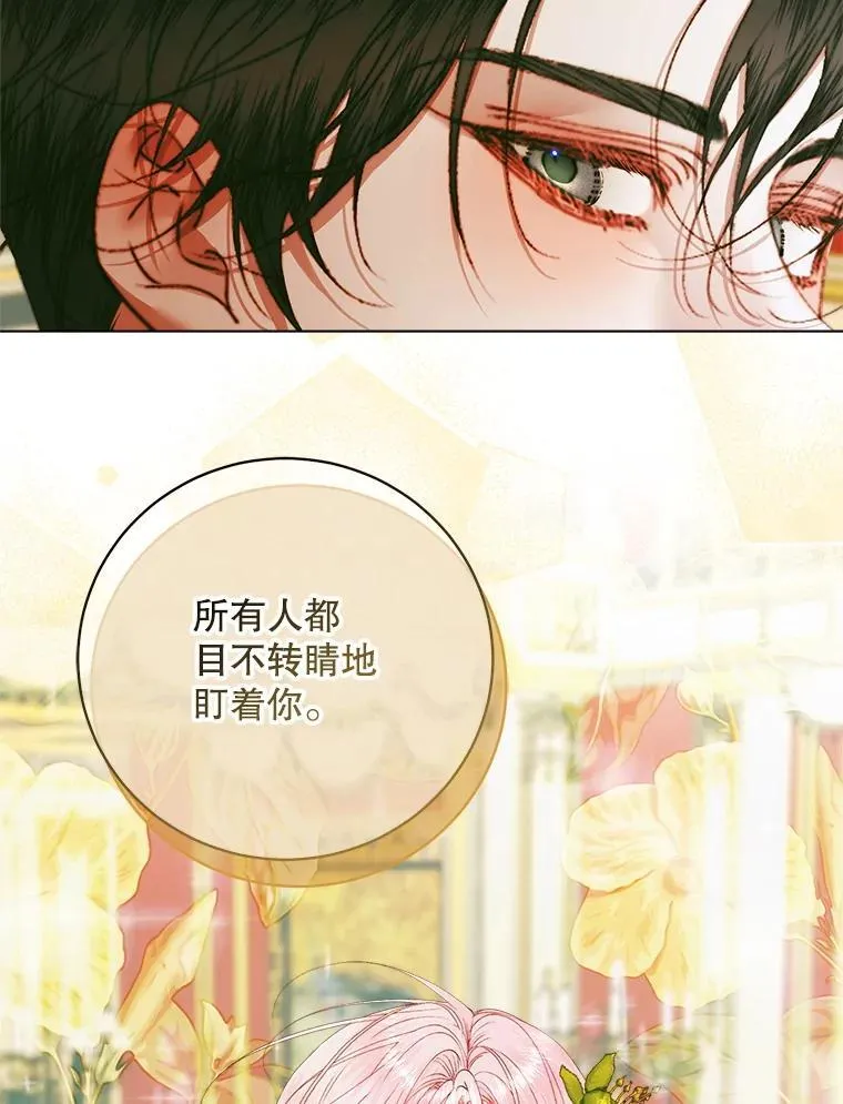 101.金牌135
