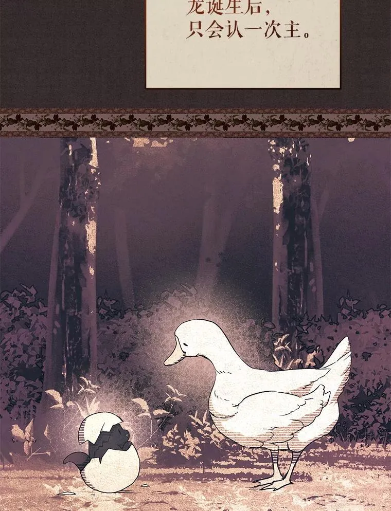 56.龙（本季完）62