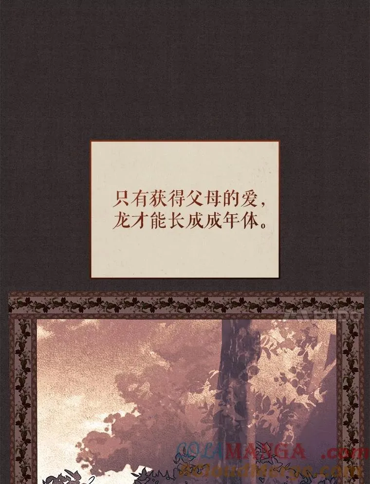 56.龙64