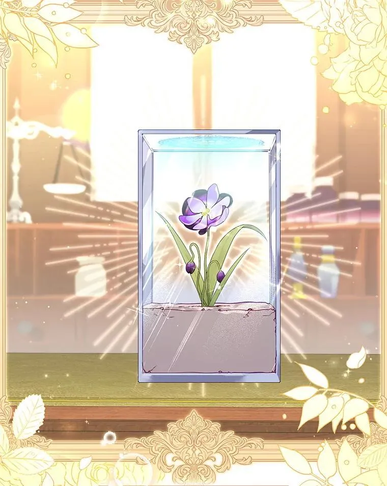 60.最后的机会70