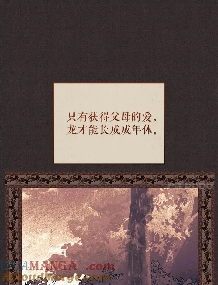 56.龙（本季完）64