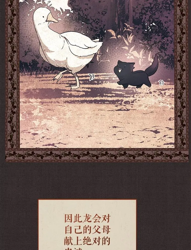 56.龙（本季完）65