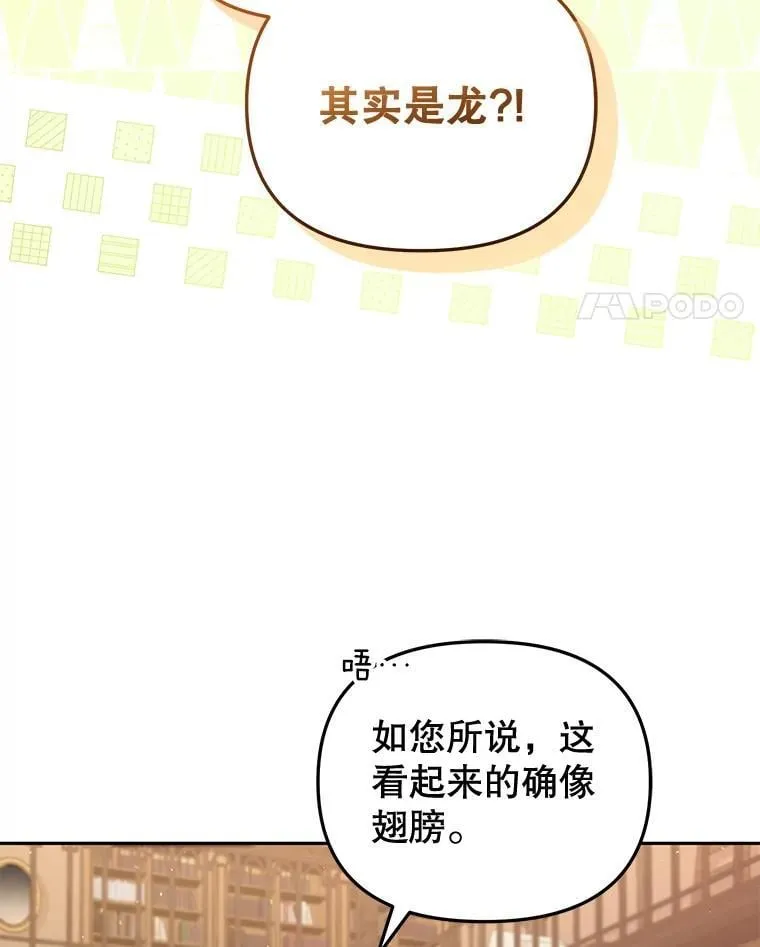 56.龙81