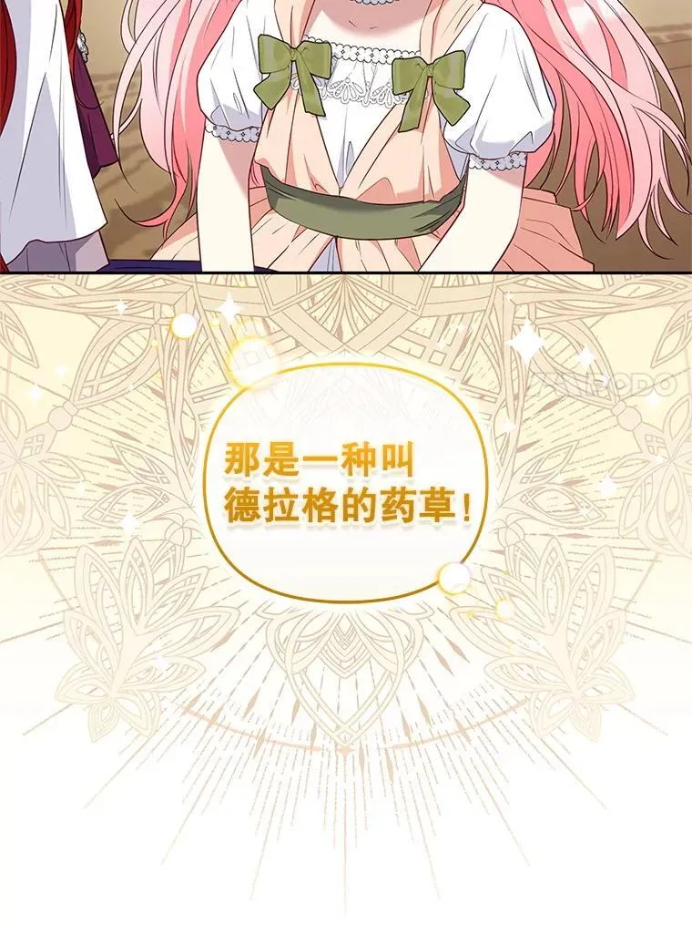 57.复活计划85