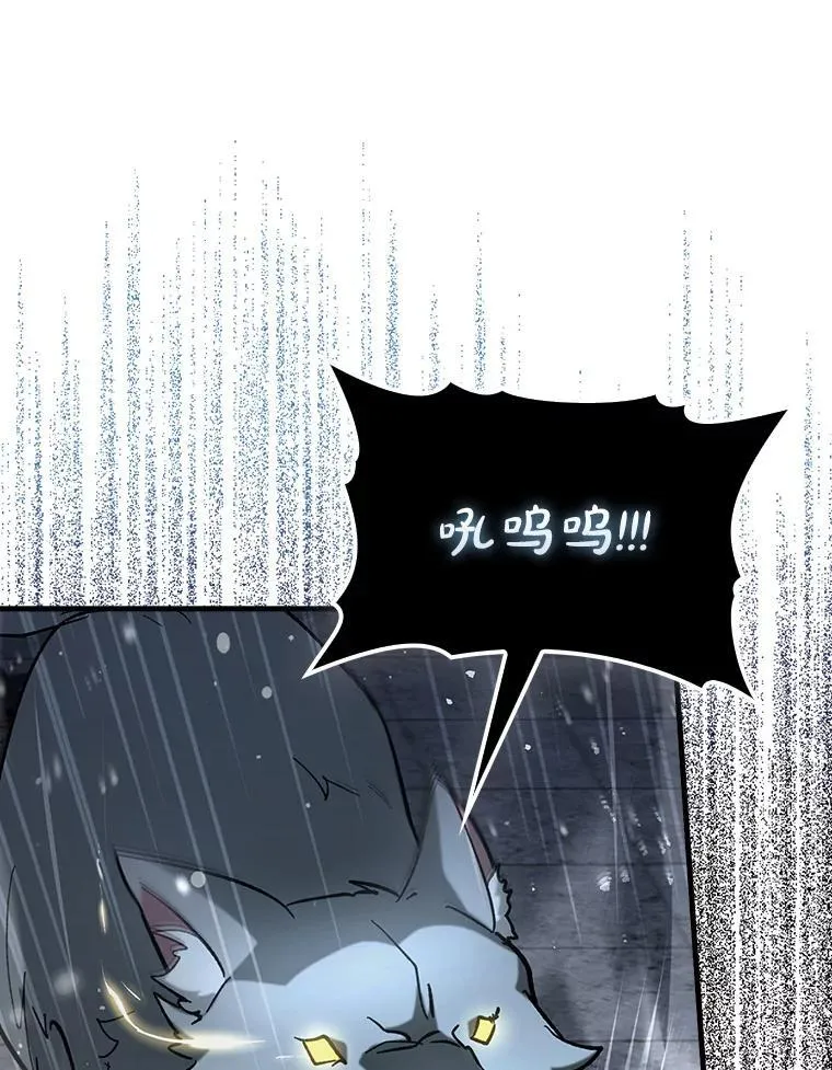 61.败局已定78