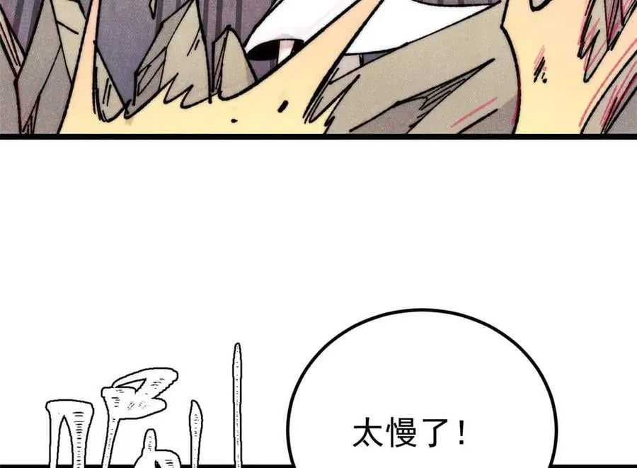 335 踢馆123