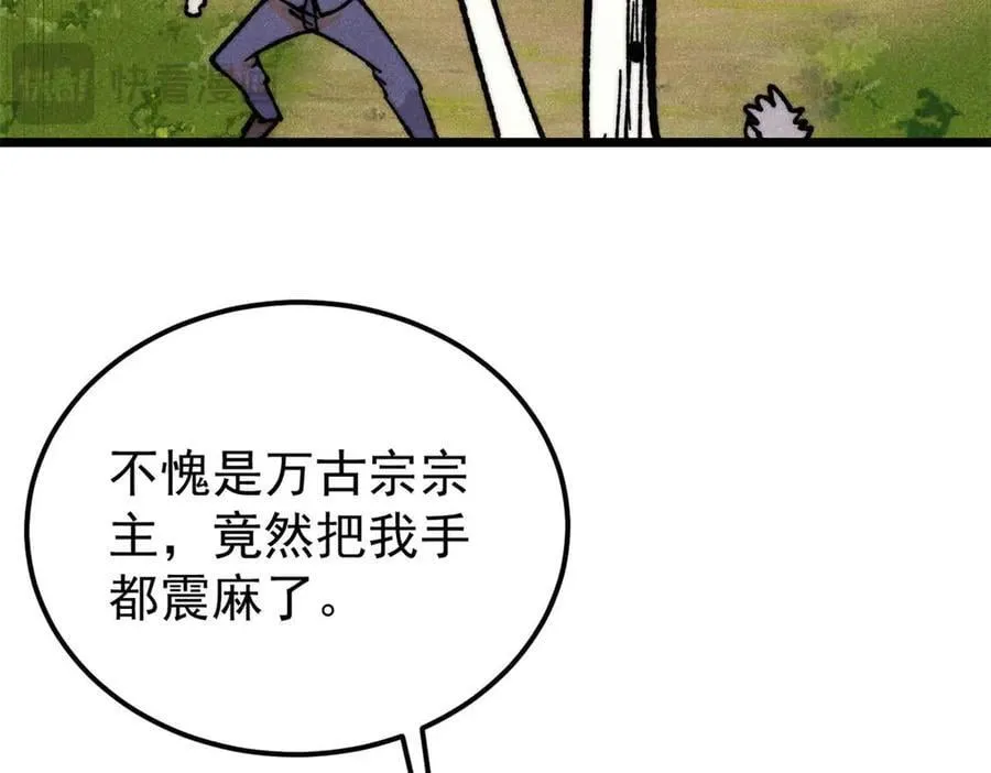 348 平平无奇君掌门81