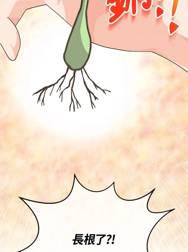 第100话42