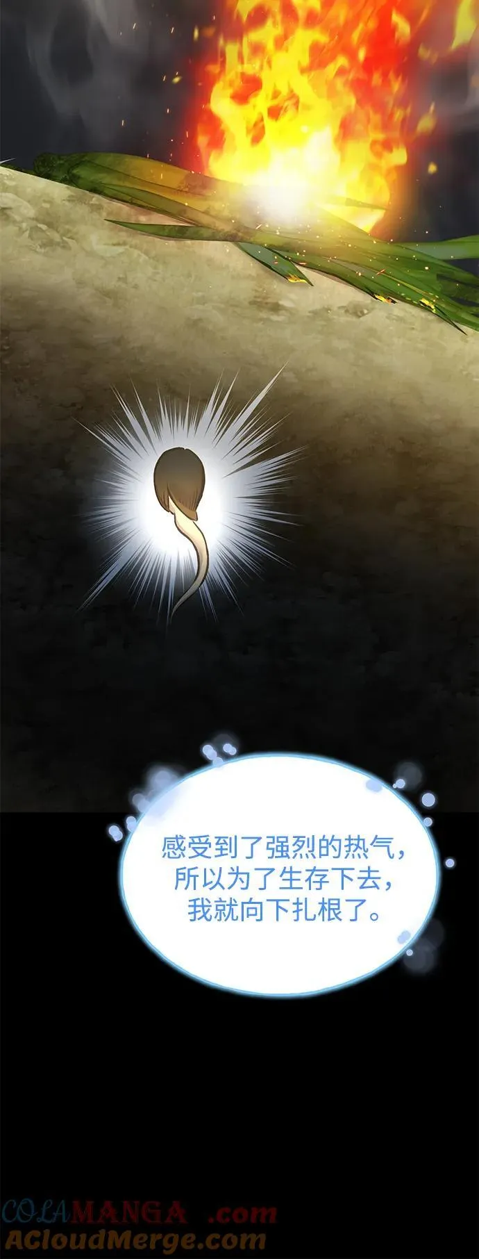 [第73话] 火花苹果树16