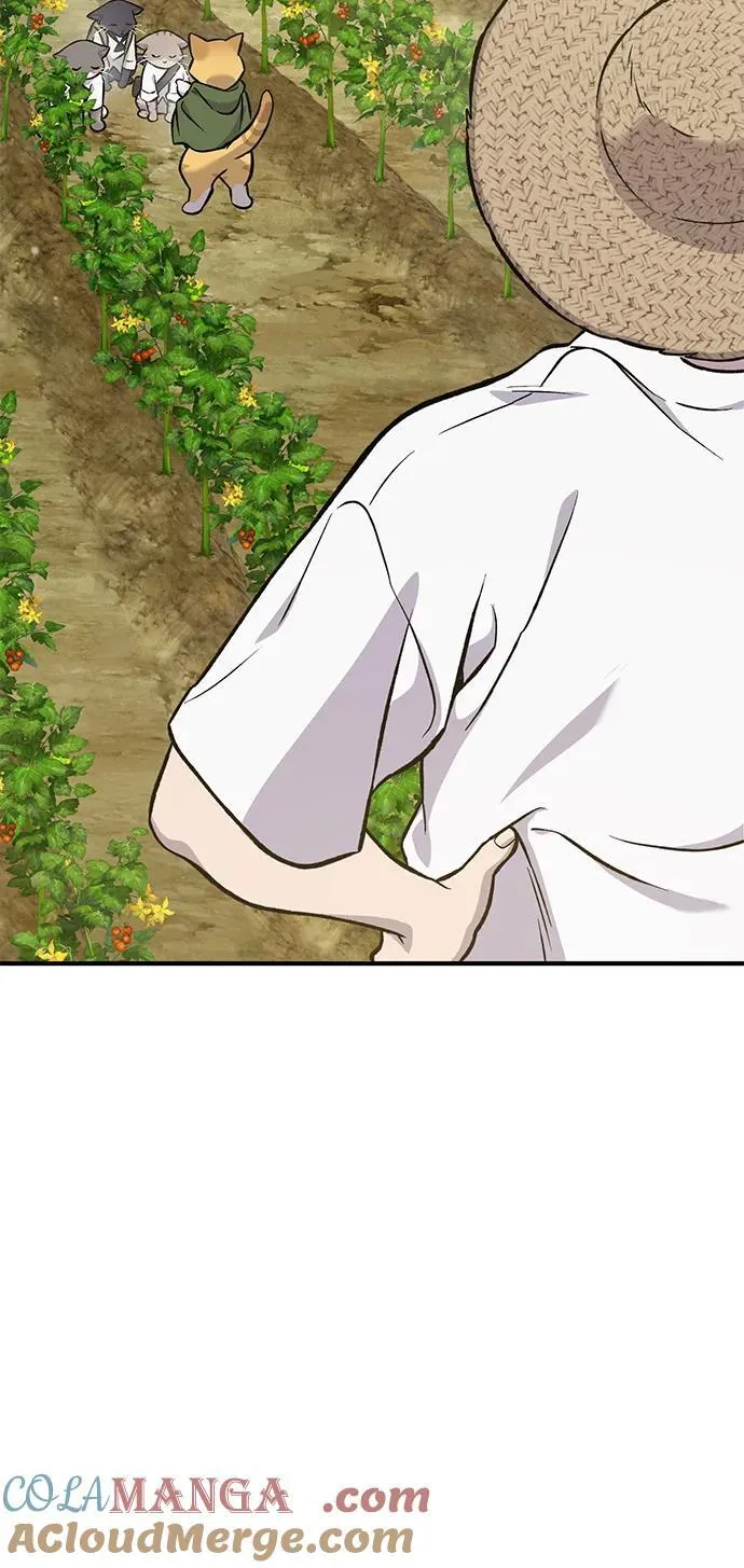 [第77话] 有实习生了112