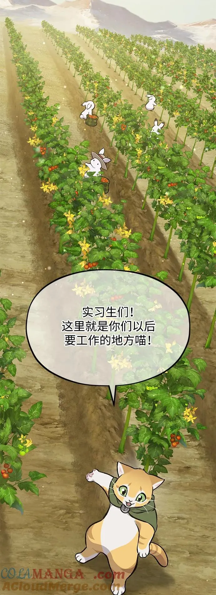 [第77话] 有实习生了92