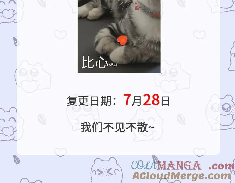 复更公告2