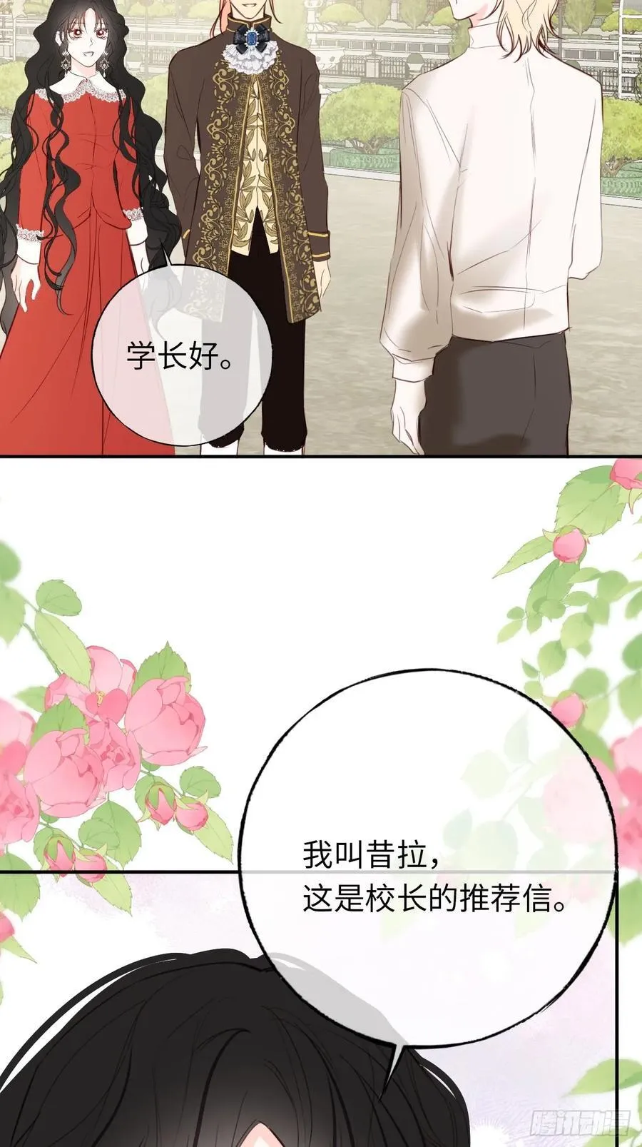 27-又见安德烈29