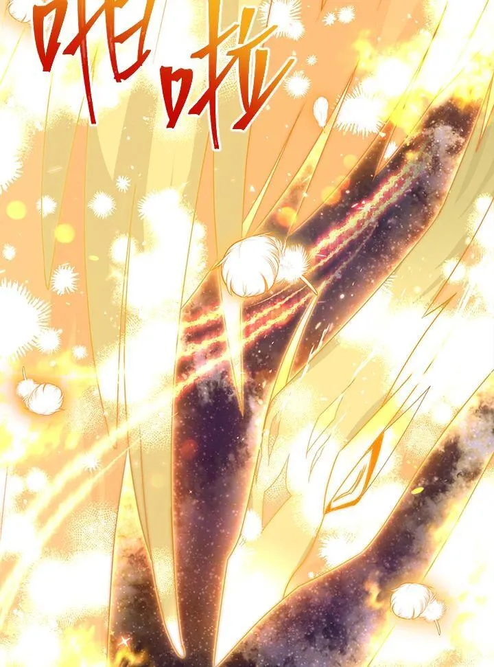 第151话5
