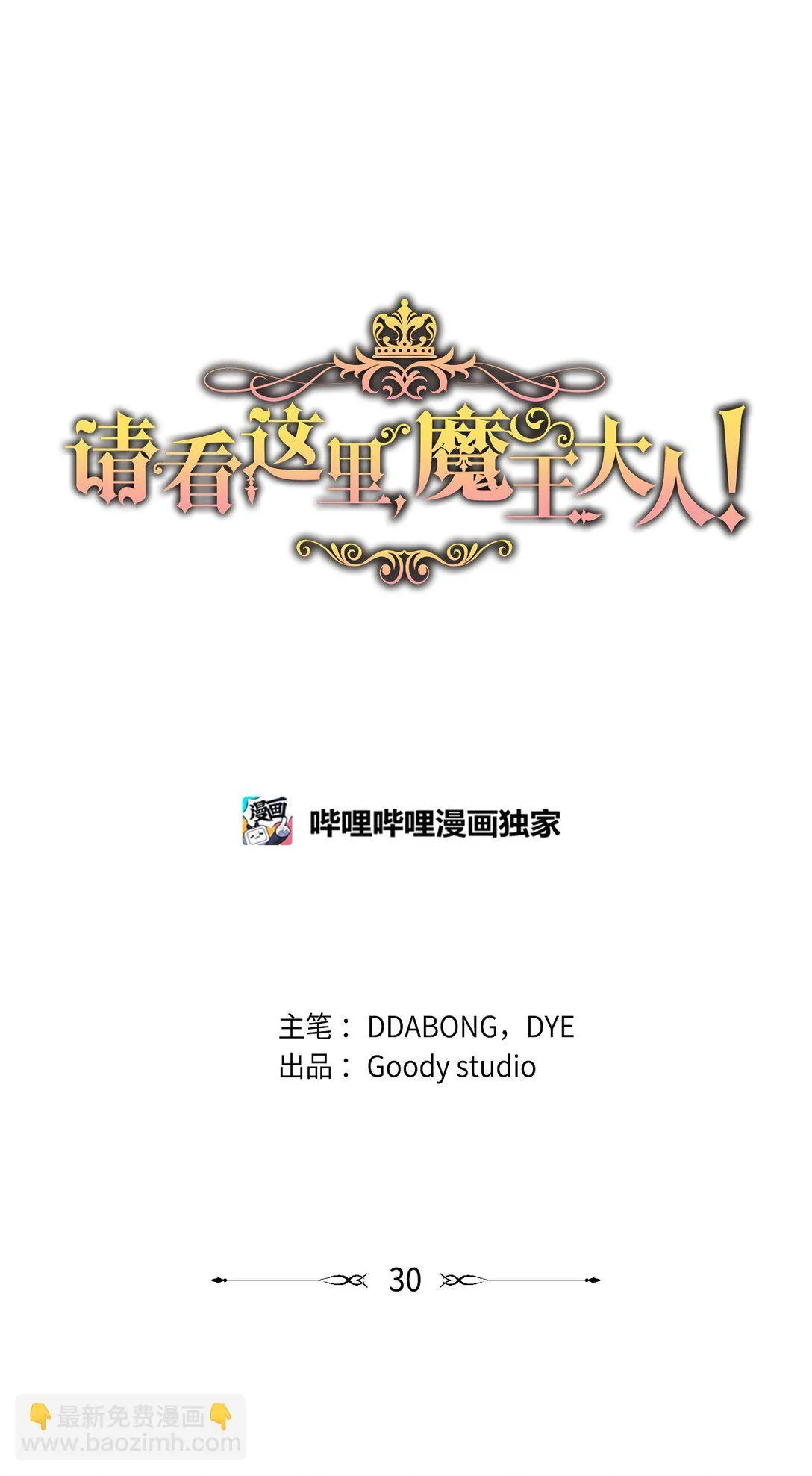 30 去杀了魔王37