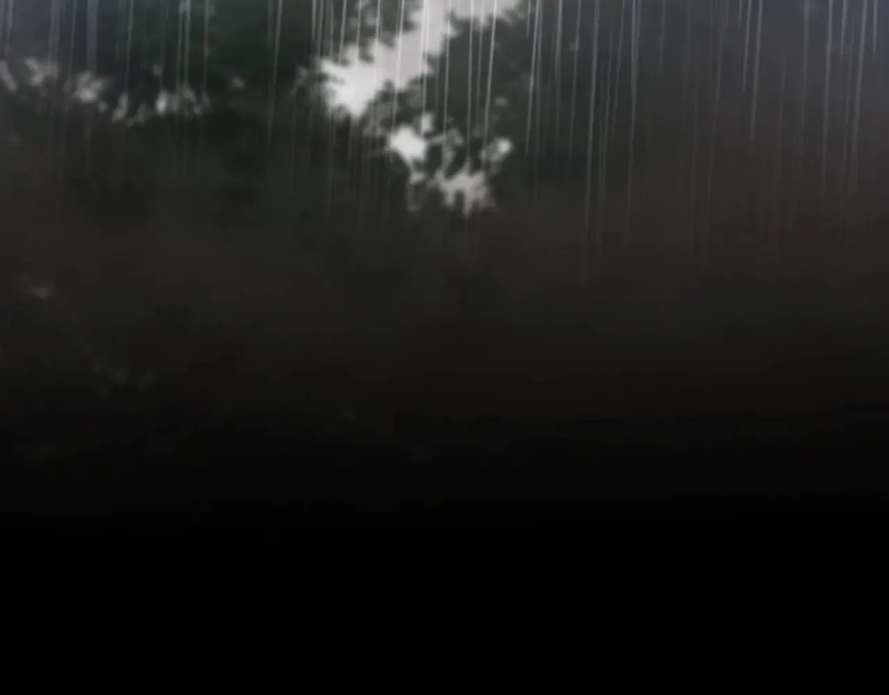 第156话 越权283