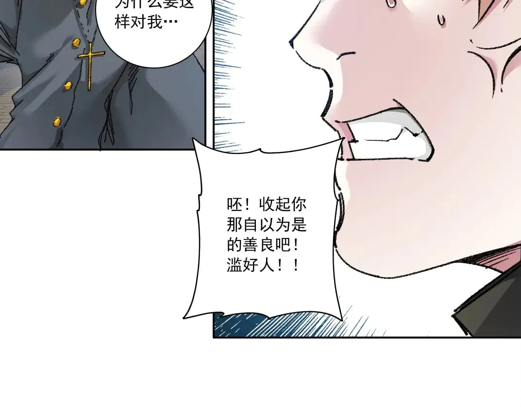 狸猫换太子19