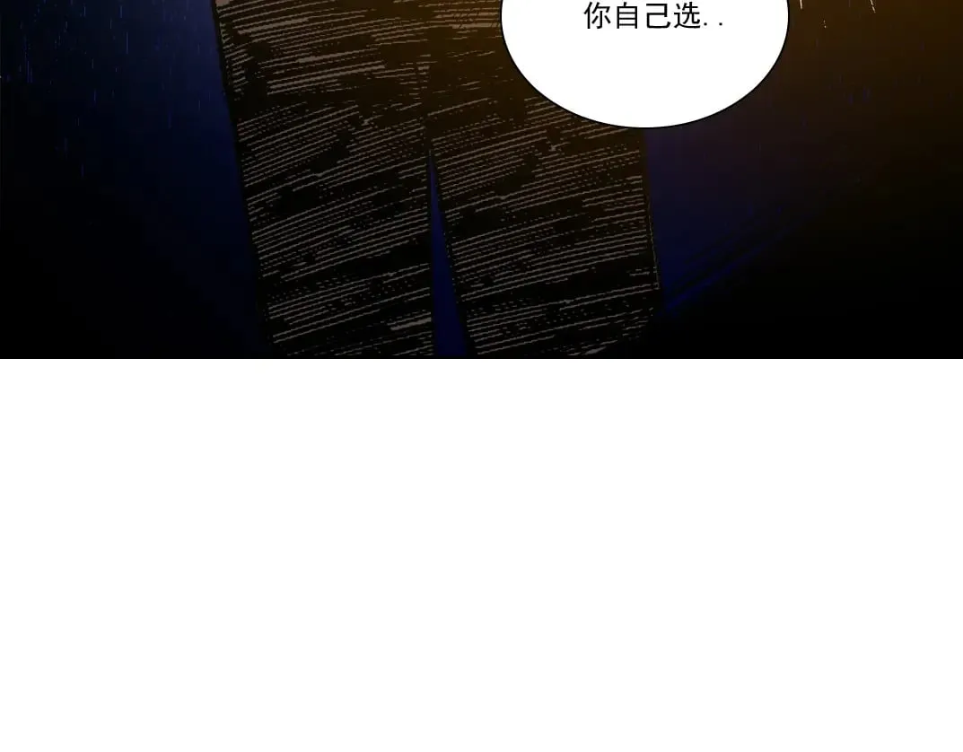 狸猫换太子83