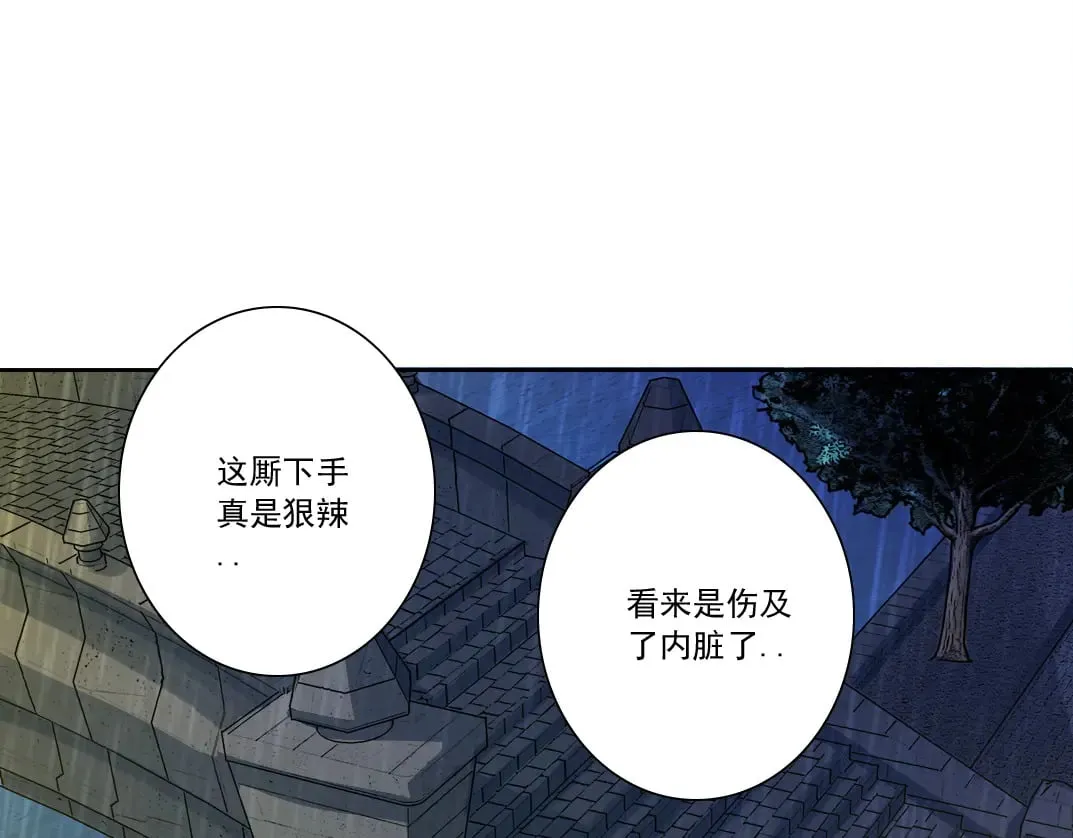 狸猫换太子73