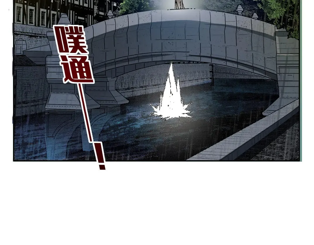 狸猫换太子40