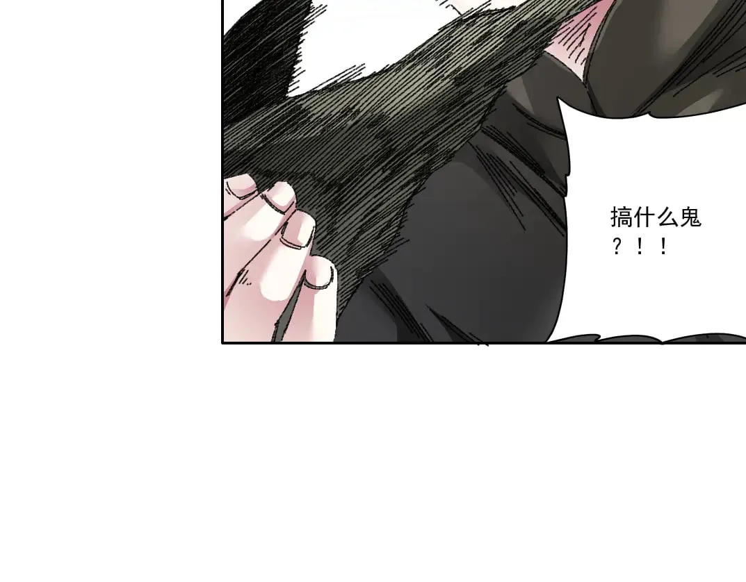 狸猫换太子10