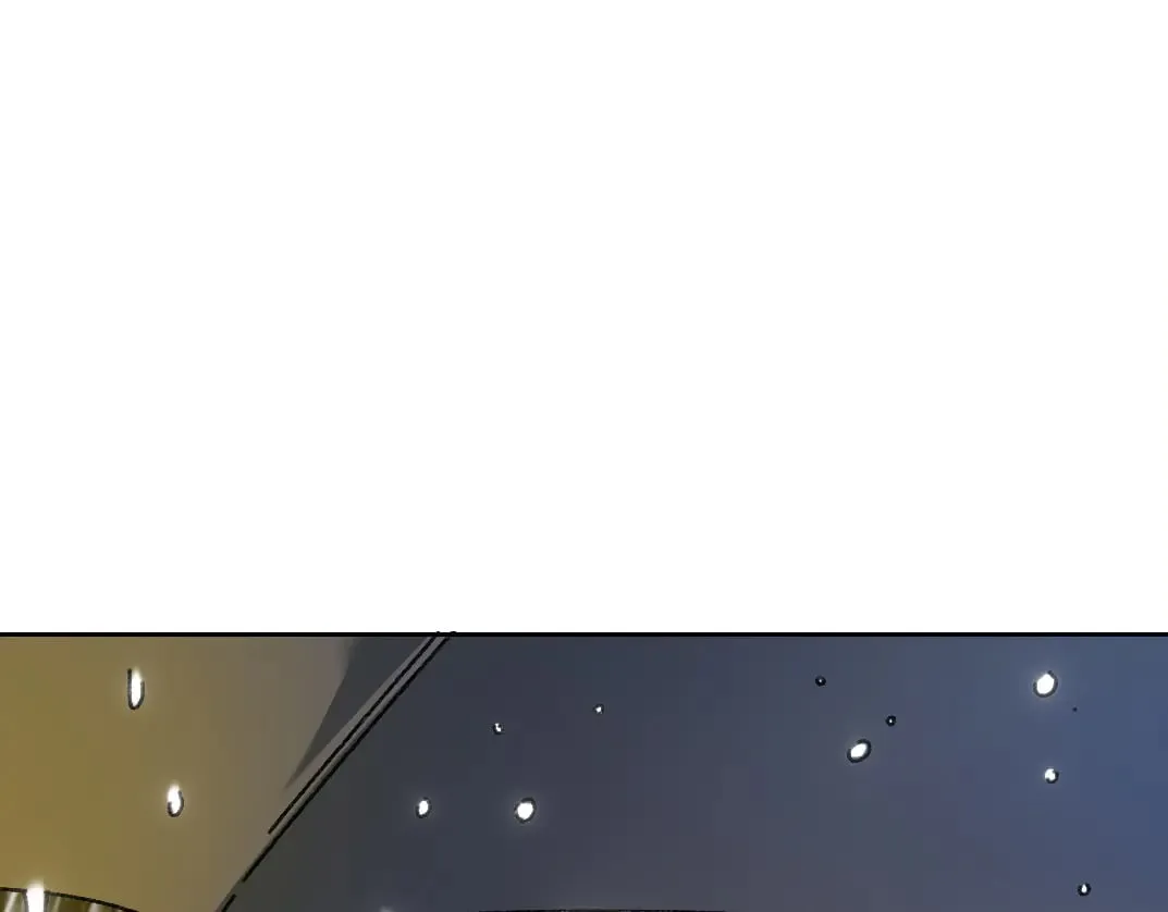 狸猫换太子52