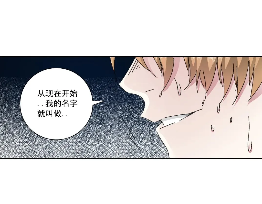 狸猫换太子41