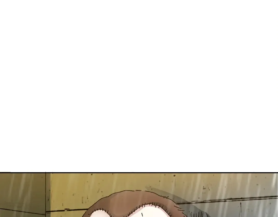 狸猫换太子75