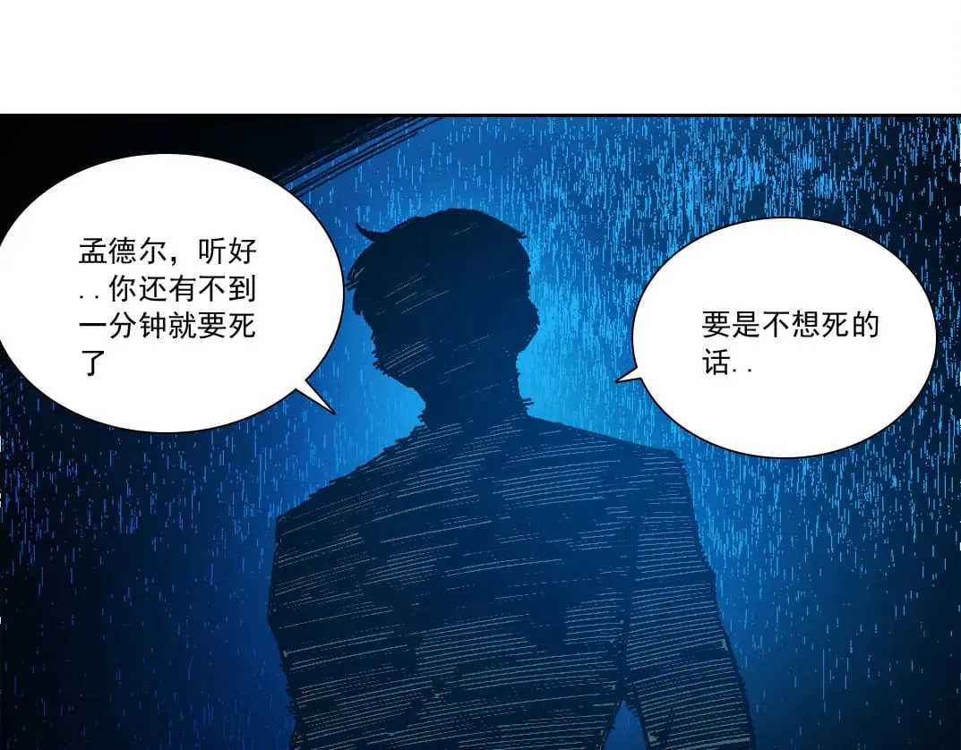 狸猫换太子79