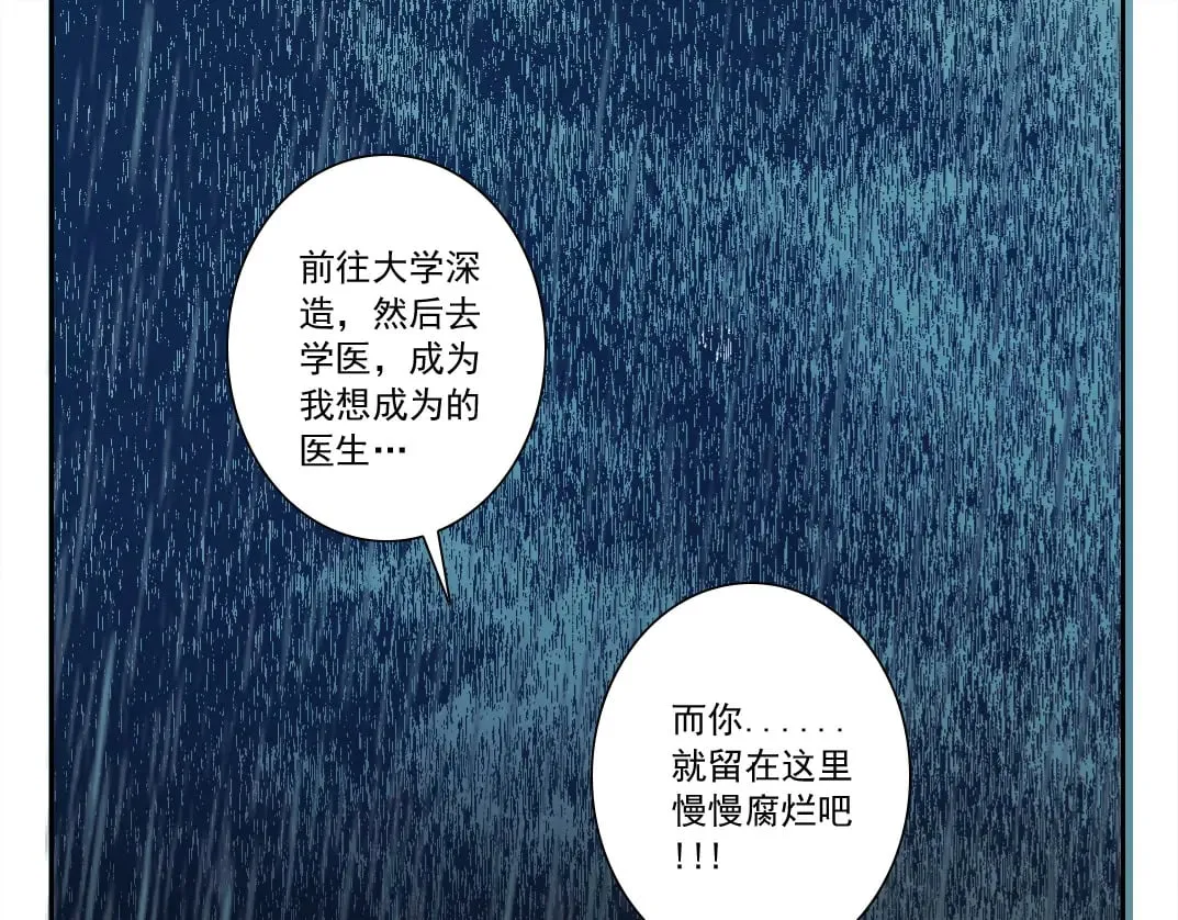 狸猫换太子38