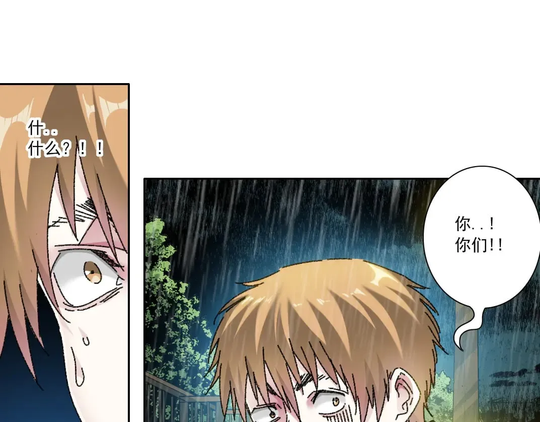 狸猫换太子62