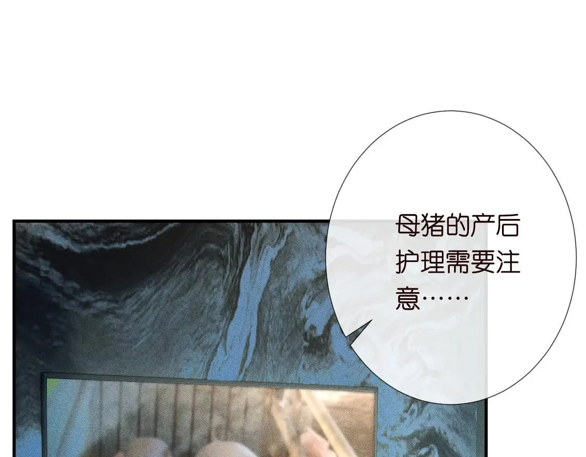 第307 他身上的香水味70