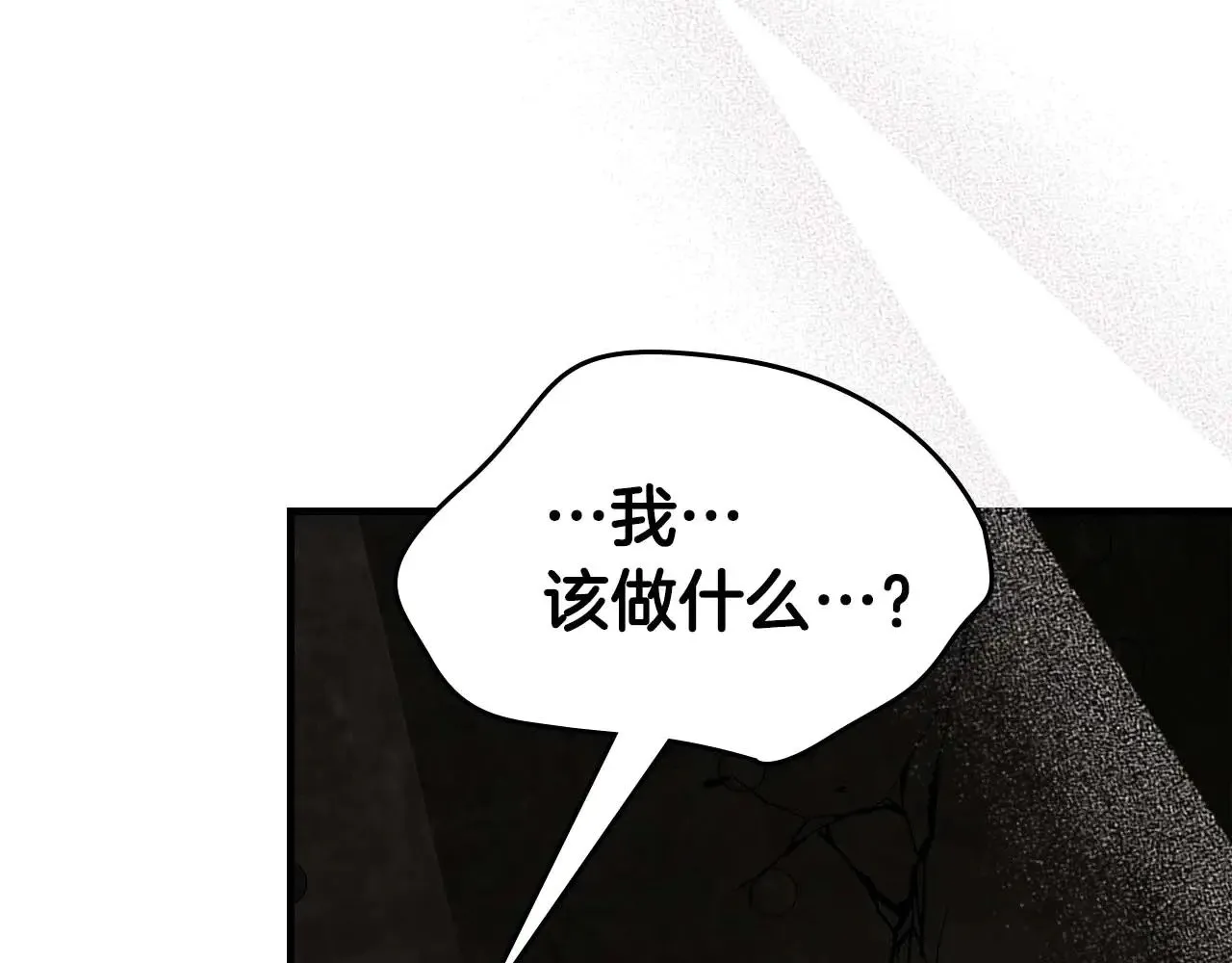 第117话 底牌211