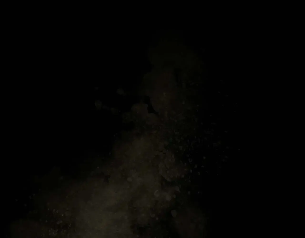 第113话 项链中的记忆83