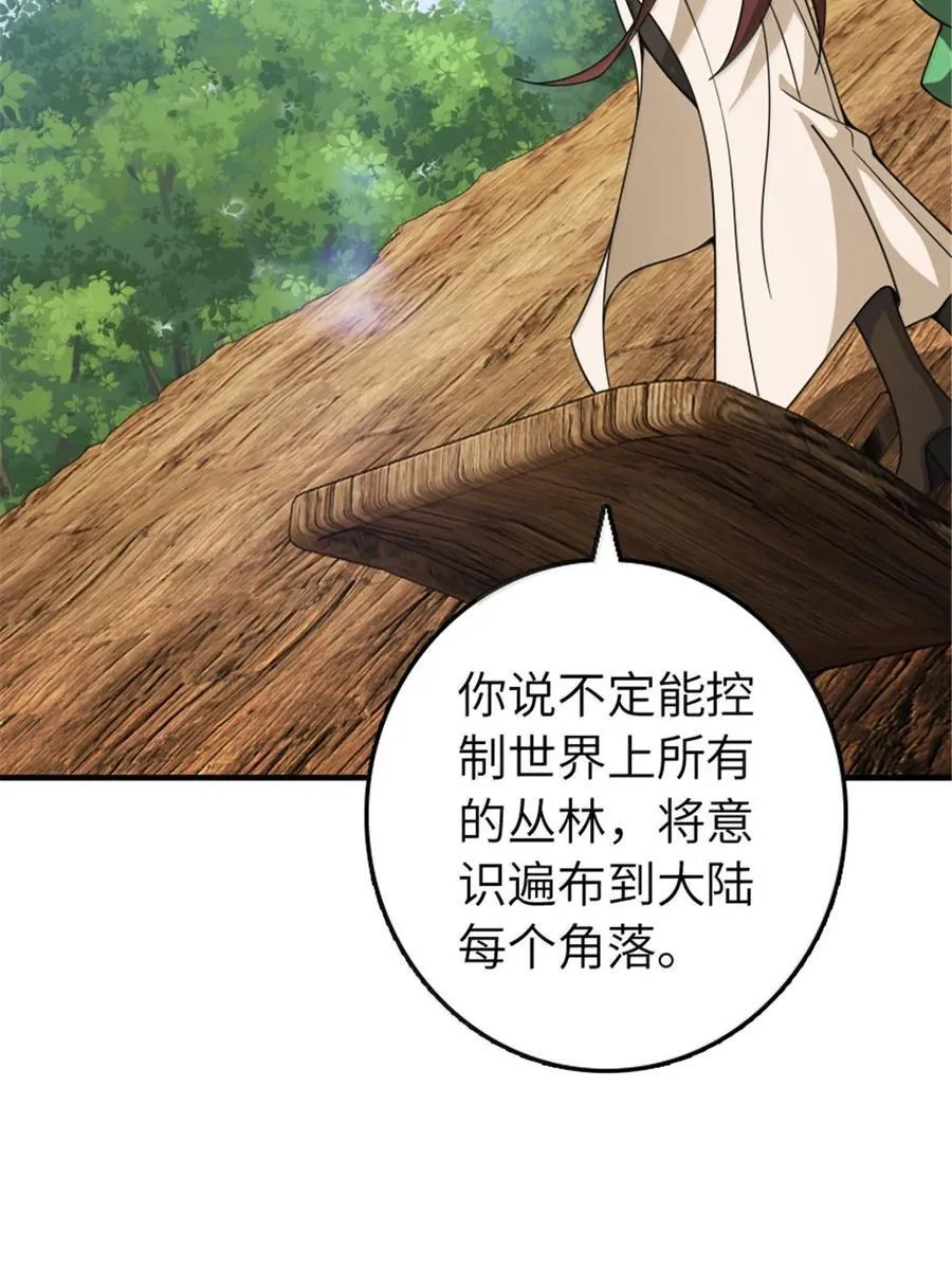 642 林间的下午茶26