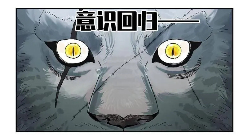 第436话 第三卷 120 第三形态53
