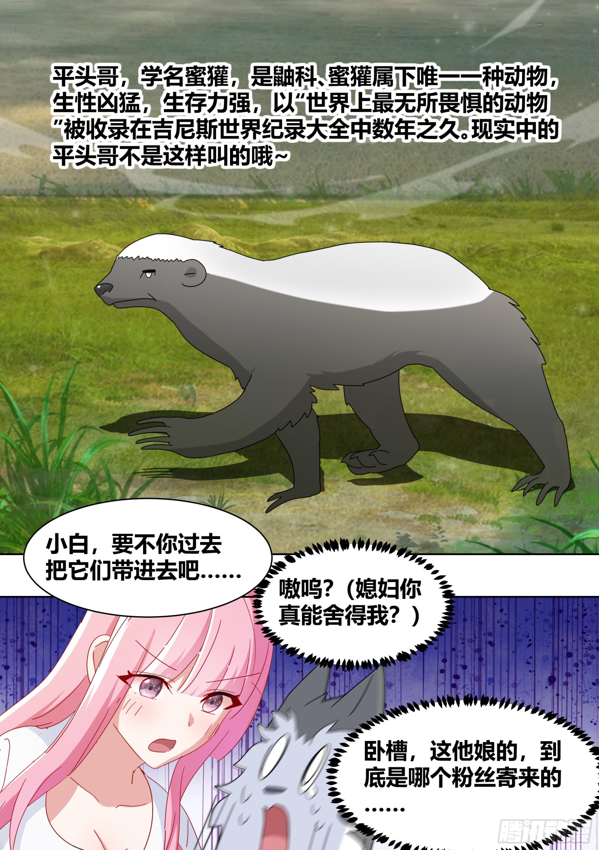 265-新人培训4