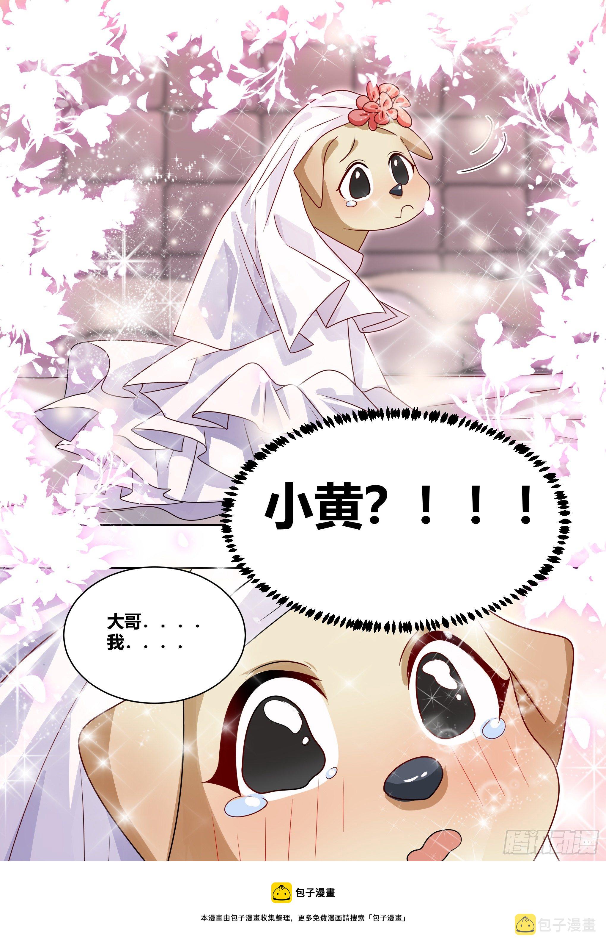 219-逃婚8
