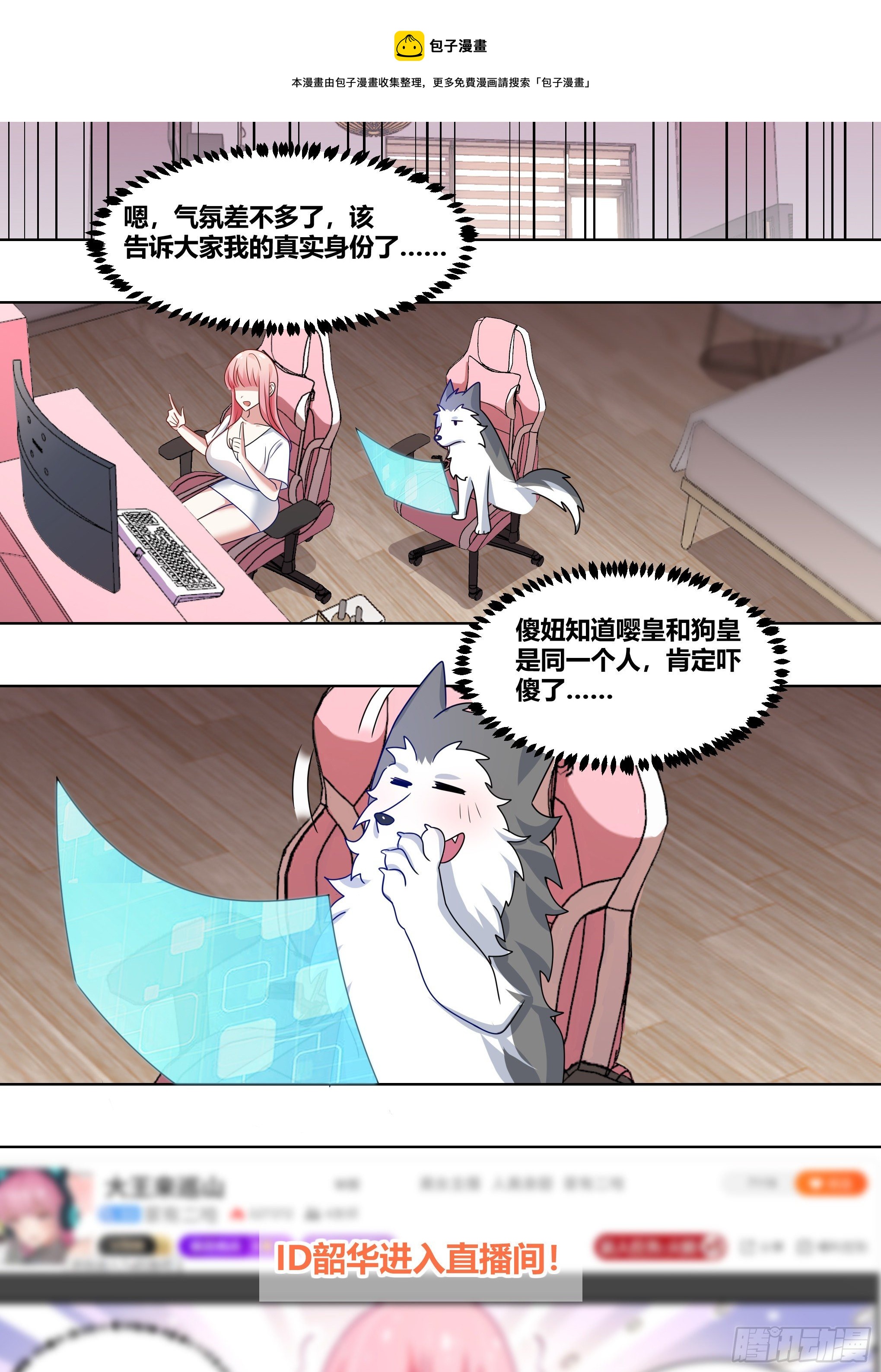223-现在这是家事4